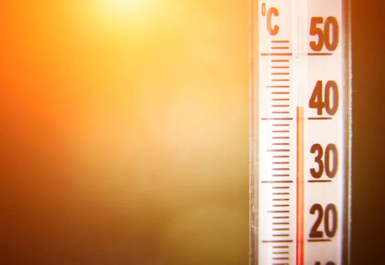 Sierpniowy rekord temperatury w Polsce wyrównany. W Radomiu odnotowano 39 stopni