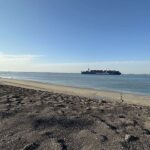 Zeeland chce sama zdecydować o przyszłości Westerschelde. „Przyroda nie może zaszkodzić gospodarce”