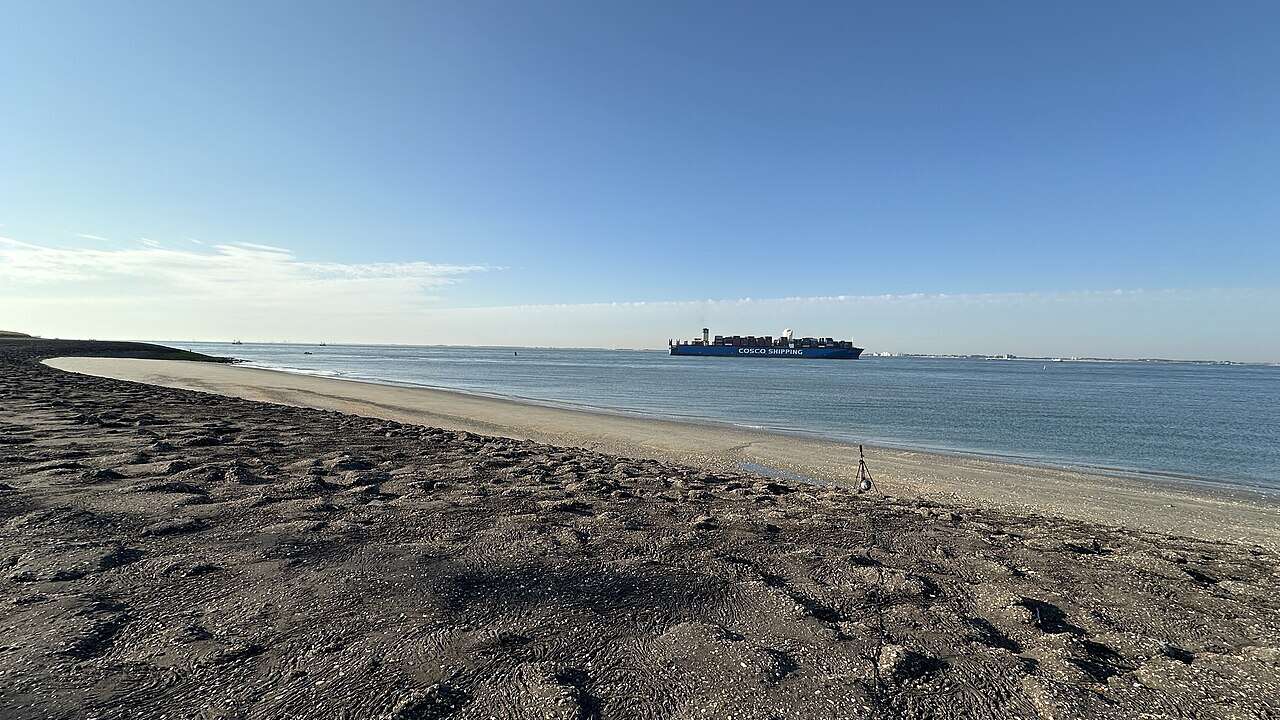 Statek handlowy na Westerschelde w Zeeland