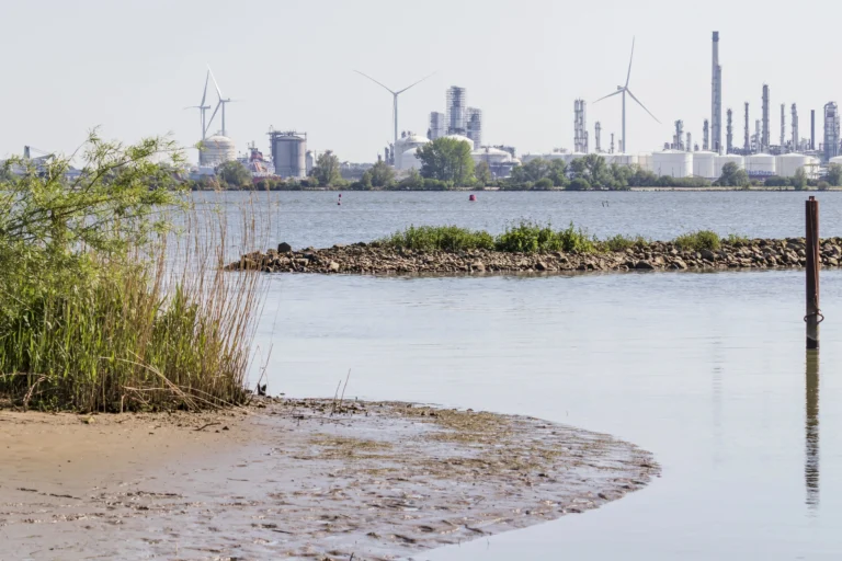 Teren przemysłowy Moerdijk widziany z obszaru przyrodniczego