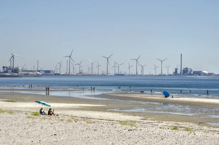 Krajobraz energetyczny Zeeland w rejonie Terneuzen – Paulinapolder rozważana pod nowe elektrownie jądrowe