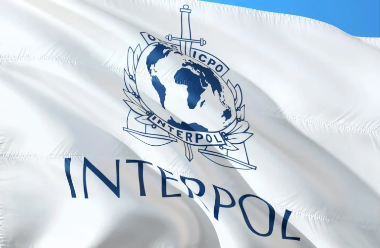 Flaga Interpolu z emblematem organizacji